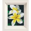 PixelHobby White Frangipani Mosaic Art Kit